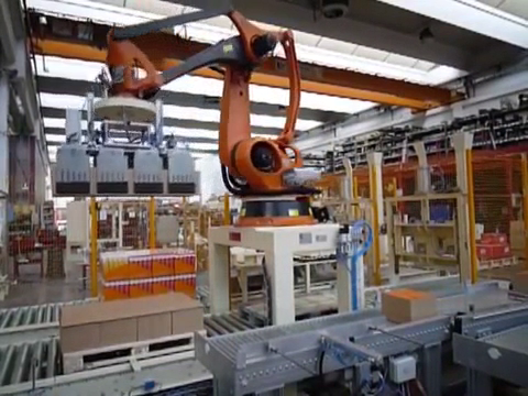 Robot paletizador de cajas